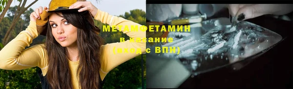 индика Вяземский