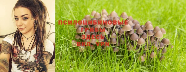 твердый Покачи